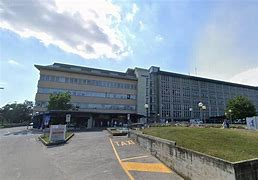 INFLUENZA SUINA OSPEDALE SAN BARTOLO DUE DECESSI